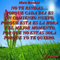 /album/fotogaleria/no-te-rindas-jpg/